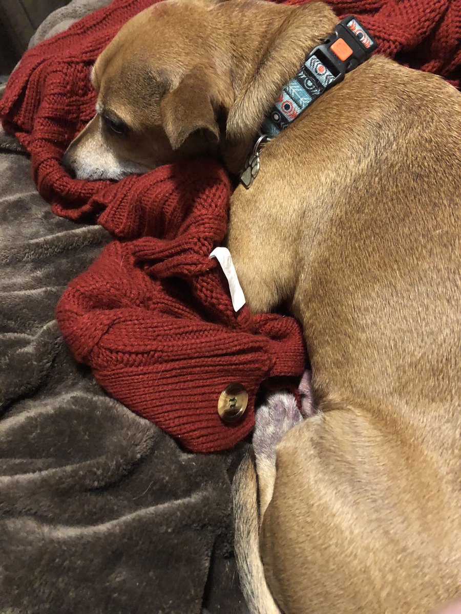 Wade and Boone 🇺🇸 tweet media