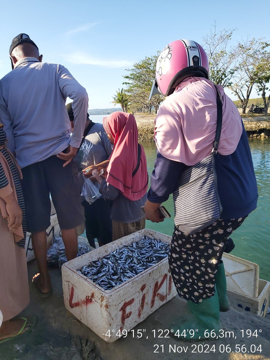 AsrianiBone's tweet photo. Kamis(21/11/2024), Asriani Luhkan Kab Muna, Pendataan Produksi hasil Tangkapan Panja pada Kub Merah Putih, ikan layang 3 gbs( 120 kg)harga Rp 1.500.000.
#GiatLuhkanSatminkalMaros
#MunaLuhlapor
#BPPSDMKP
#BRPBAPPP_MAROS
#PUSLATLUHKP https://t.co/ngZ49yKEzX