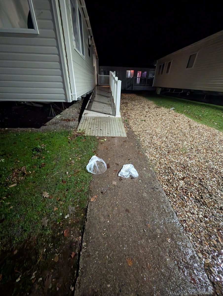 Alt_ti08's tweet photo. Sad attempt at covering feet paws from the puddles, with bin bags, ended pretty fast... https://t.co/sNMDg36cUJ