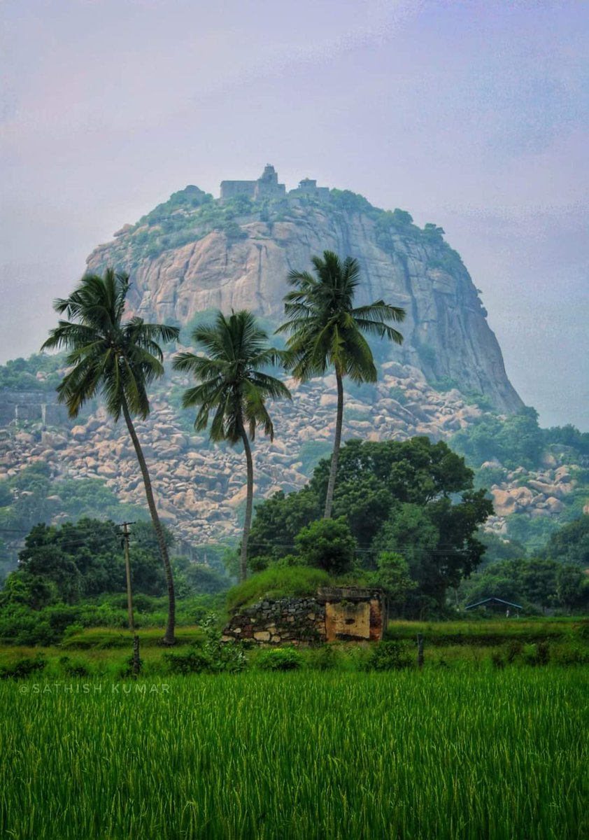 Cell_Durai's tweet photo. #goodmoring https://t.co/0IqY2O7O8P
