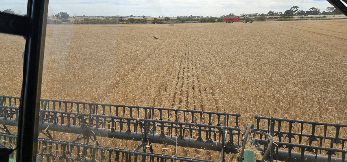 Stefan Hollmann tweet media