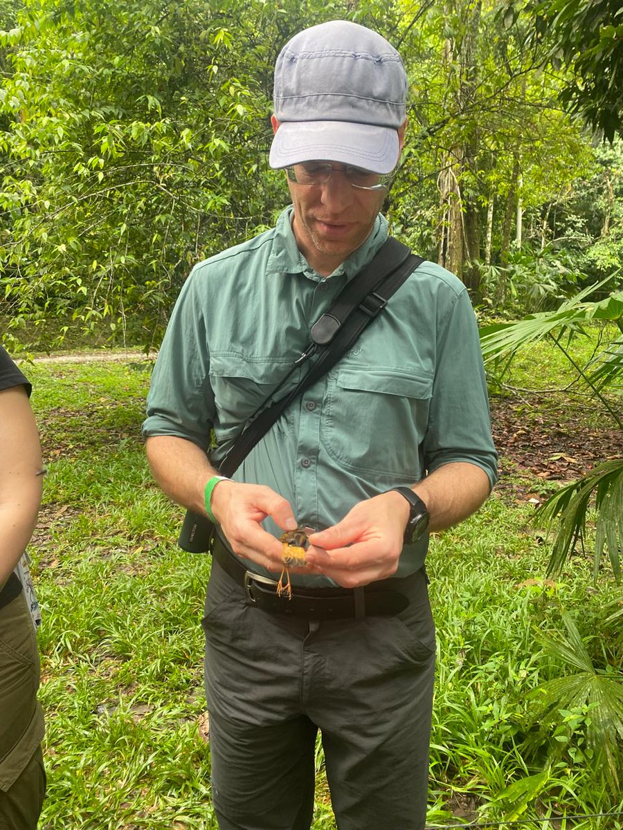 VI International Conference on Malaria tweet media