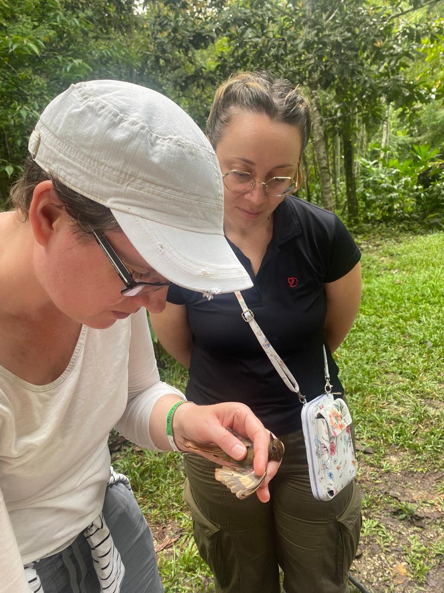 VI International Conference on Malaria tweet media