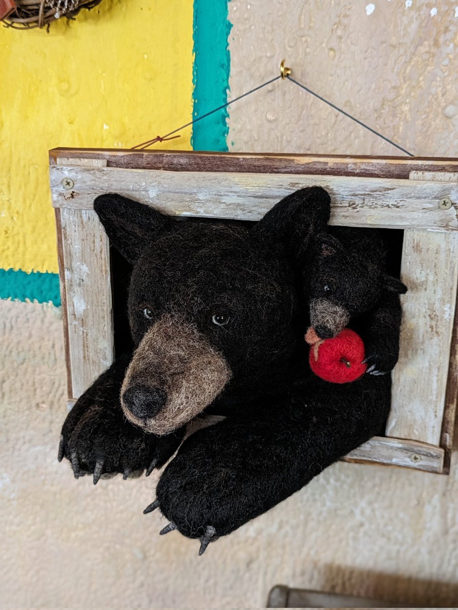 happa27's tweet photo. 本日12:00〜17:00 OPEN！

🐻どうぶつたちの集会🐻
12/1(日)まで開催中♪

アメリカクロクマ
Studio-Argaliさんの壁穴シリーズ
リアルだけど、優しい表情で
どこか人っぽいところもあり🤭

くまさんの瞳がたまらないですね
どこまでも無邪気な子熊と一緒に♪
���の先から肉球まで🐾
いろんな角度から🐻 https://t.co/2TBIUOG4Gw
