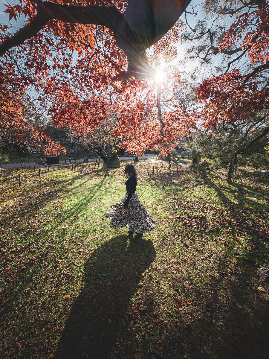 1205_y_a_'s tweet photo. 福岡県にある紅葉。

#iPhone撮影 

四王寺県民の森センター 
舞鶴公園 https://t.co/ogxR2VRc3L