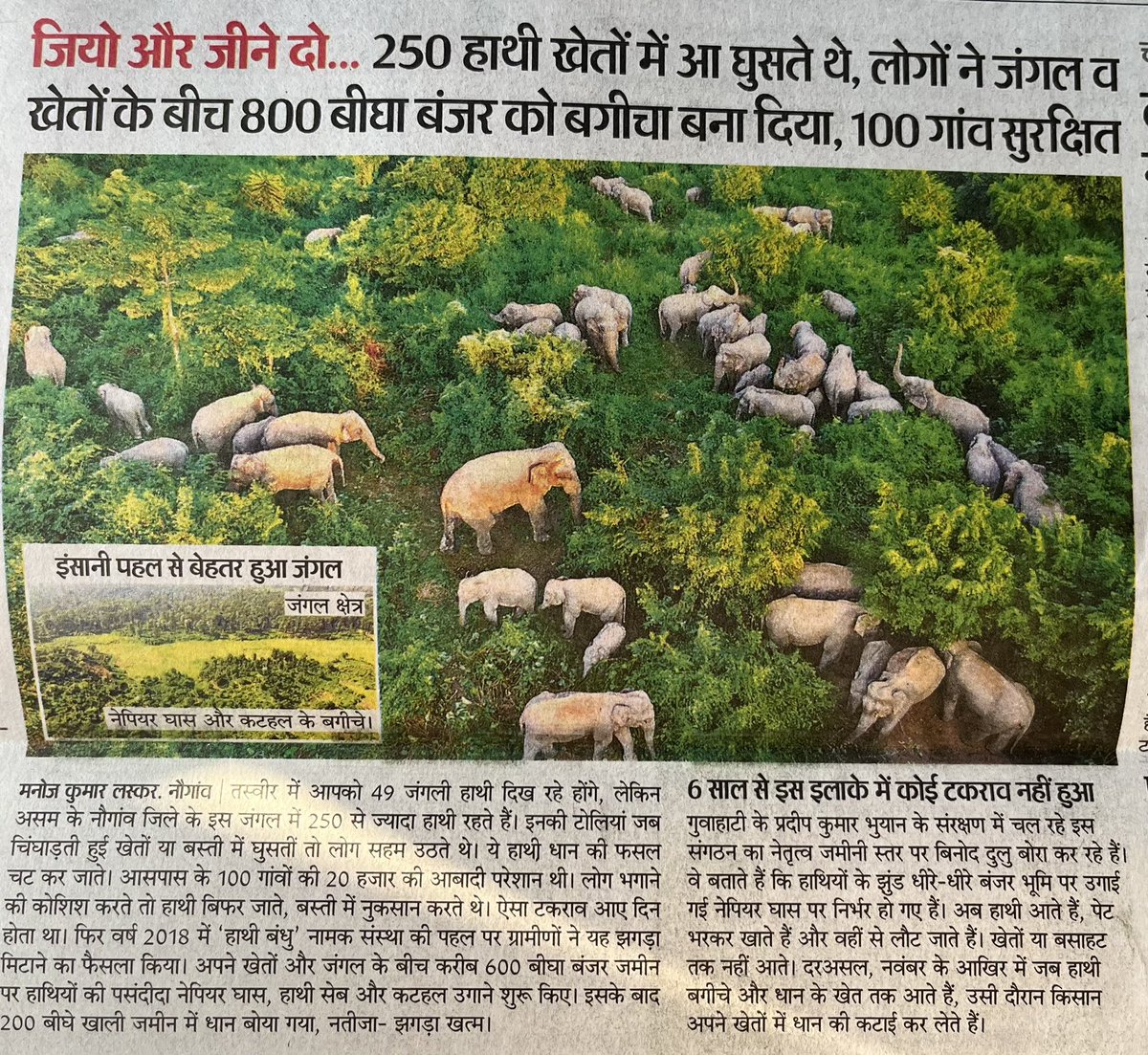 Some news warm the heart…coexistence is possible, only if we all collaborate and respect the space for other living beings in this world 🩷

#ClimateAction #Assam #NGOs #community #forestry <a href="/DainikBhaskar/">Dainik Bhaskar</a> <a href="/UdaipurTimes/">UdaipurTimes</a> we need similar civic action to clean and green our city