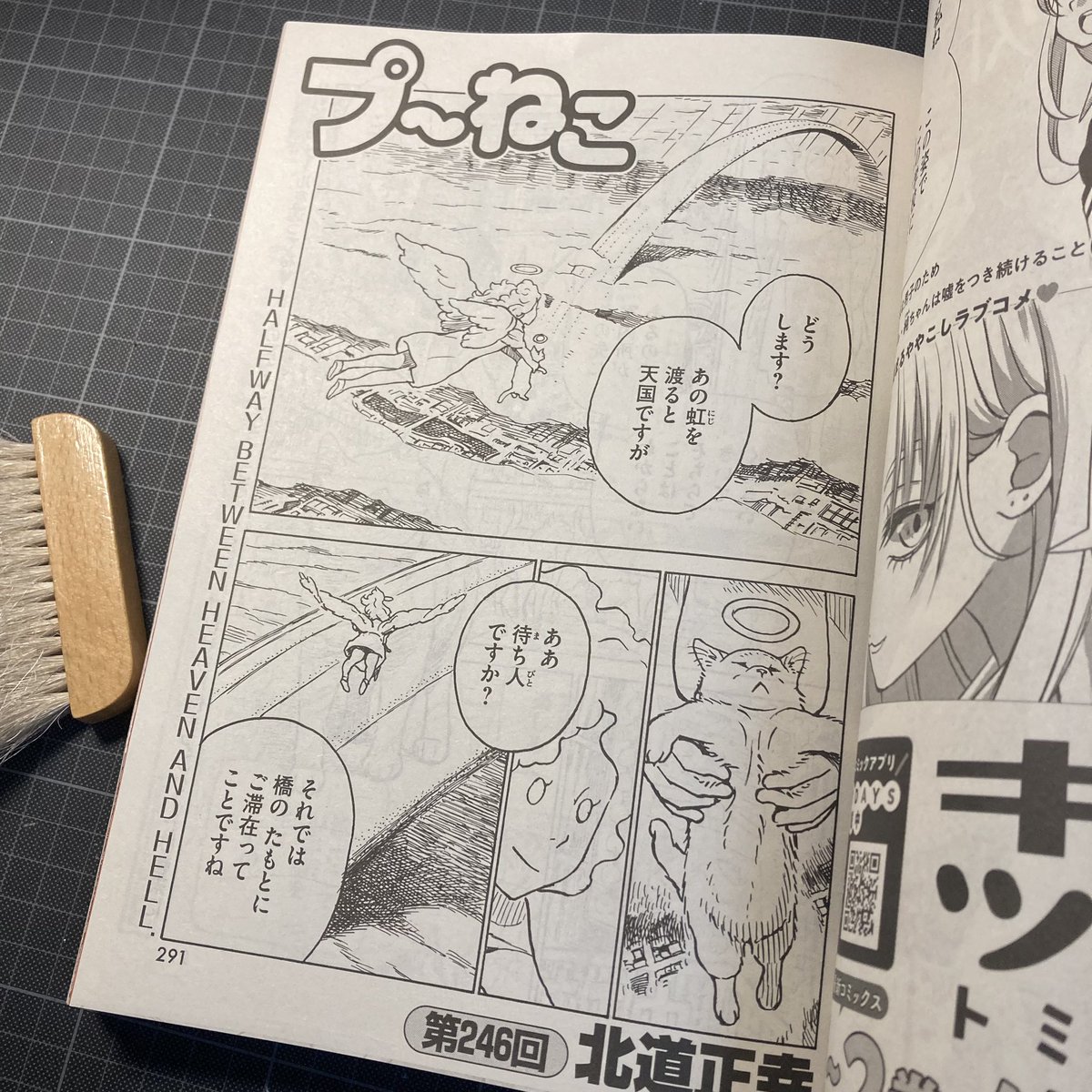 本日11月25日(月)発売の月刊アフタヌーン2025年1月号に『プ～ねこ(第246回)』が掲載されてます。よろしくどうぞ。 