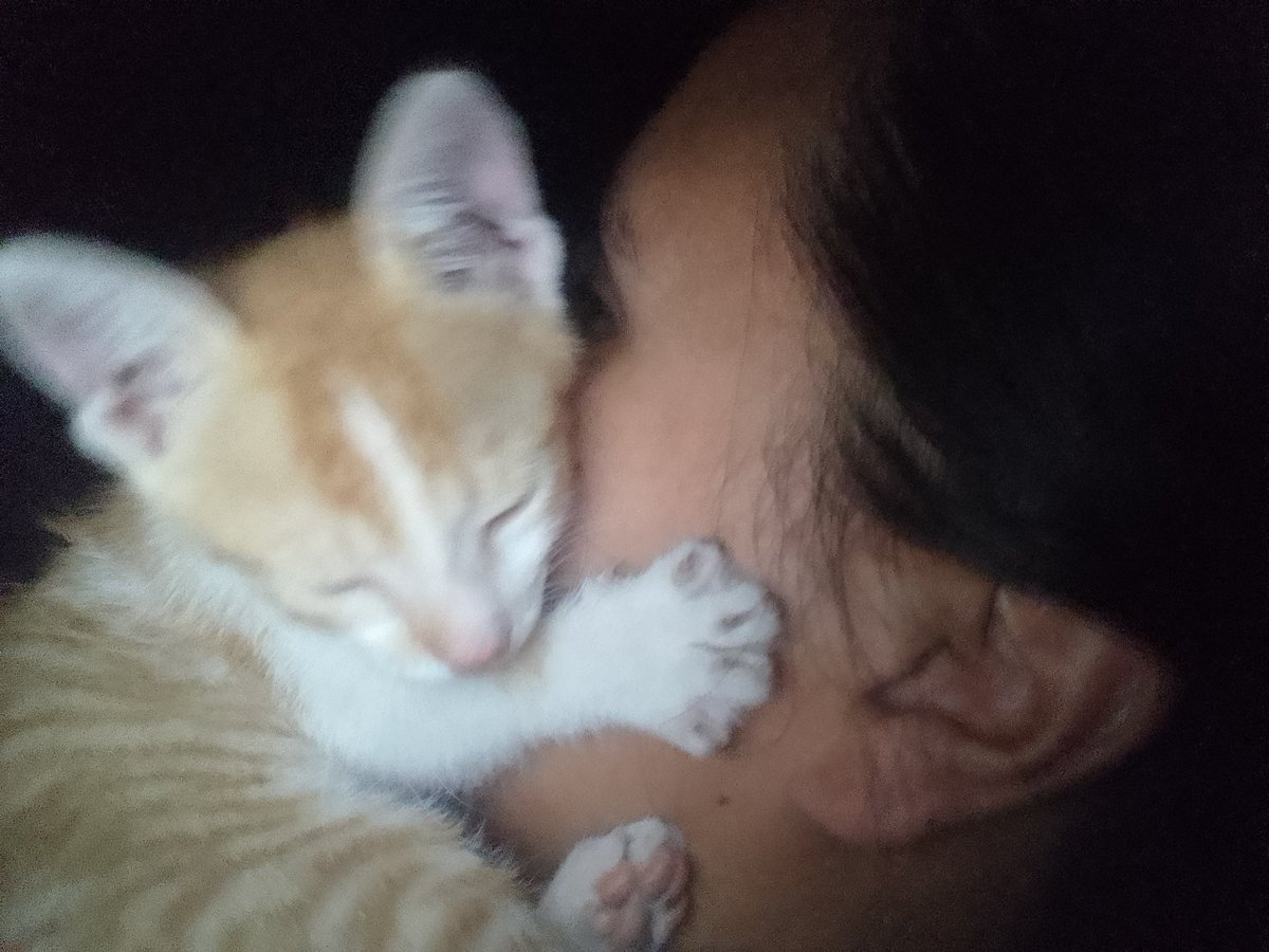 Gimena Baez (@baez_gimen16721) on Twitter photo 