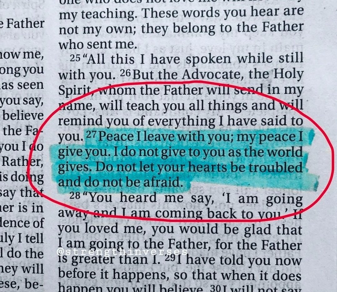 Holy__Bible1's tweet photo. https://t.co/Jcwz6jJUG8
