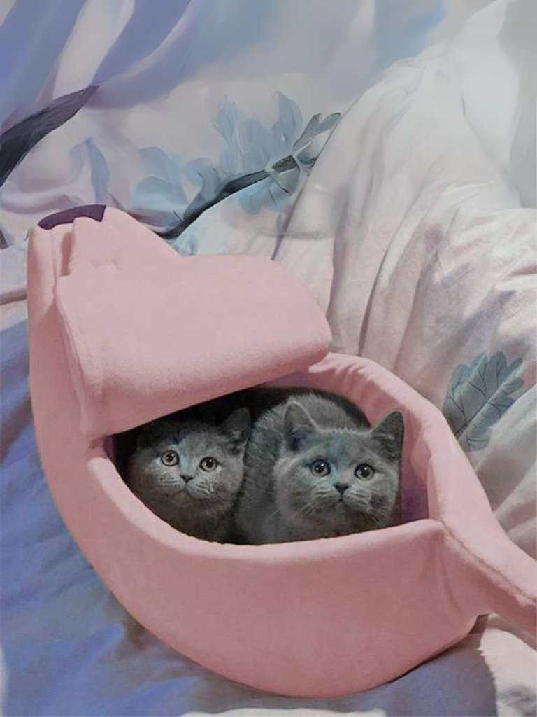 mofucat_media's tweet photo. 🐾🐈mofucat プレゼントキャンペーン🐈🐾

バナナ型猫ベッド
https://t.co/emDKS3Daqy

　 ▼参加条件▼
🍌@mofucat_mediaをフォロー
🍌このツイートをRT
🍌欲しいカラーをコメントor引用RTで当選確率UP

🐾締め切り🐾
　 〜12月25日 https://t.co/OyZFf1FXQO