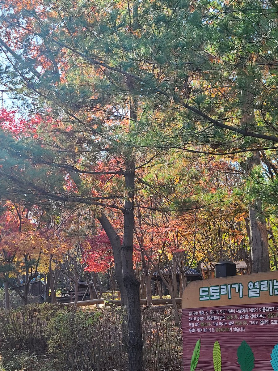 가을...아니 겨울 풍경 ^^; 🍁🍂🌲🍃