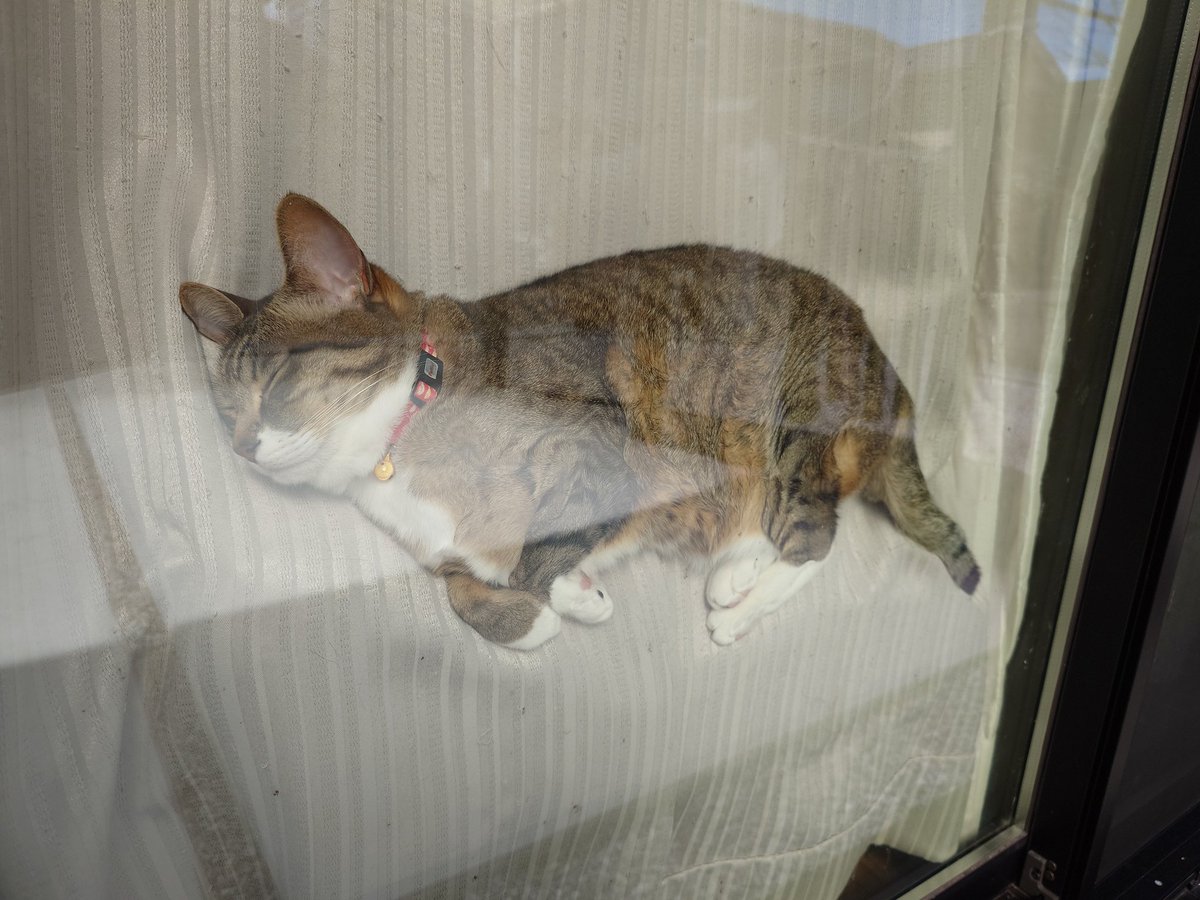 Tetra_ction's tweet image. もうｗ疲れも吹っ飛ぶわ😂
