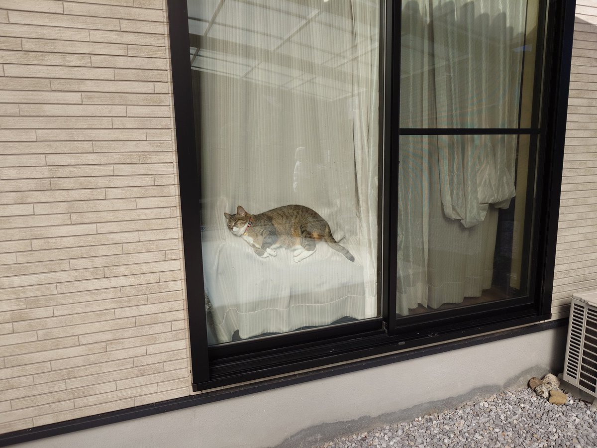Tetra_ction's tweet image. もうｗ疲れも吹っ飛ぶわ😂