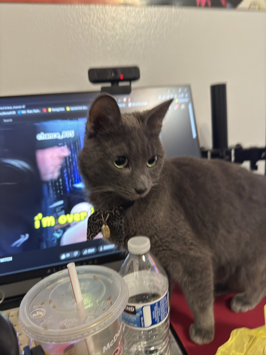 rizezerra's tweet photo. chill like that https://t.co/krmUn404T2