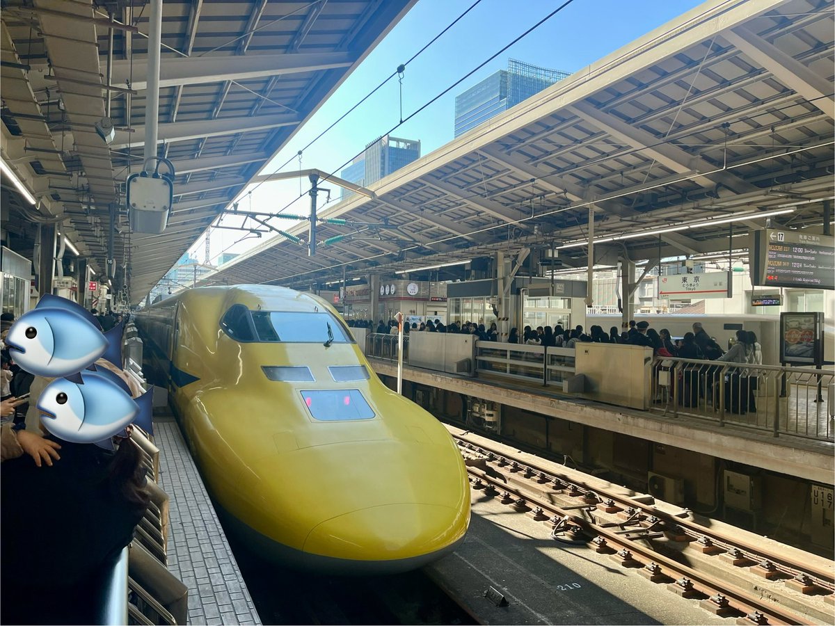 新里将平 (@WOrlD_His_Tory) / X