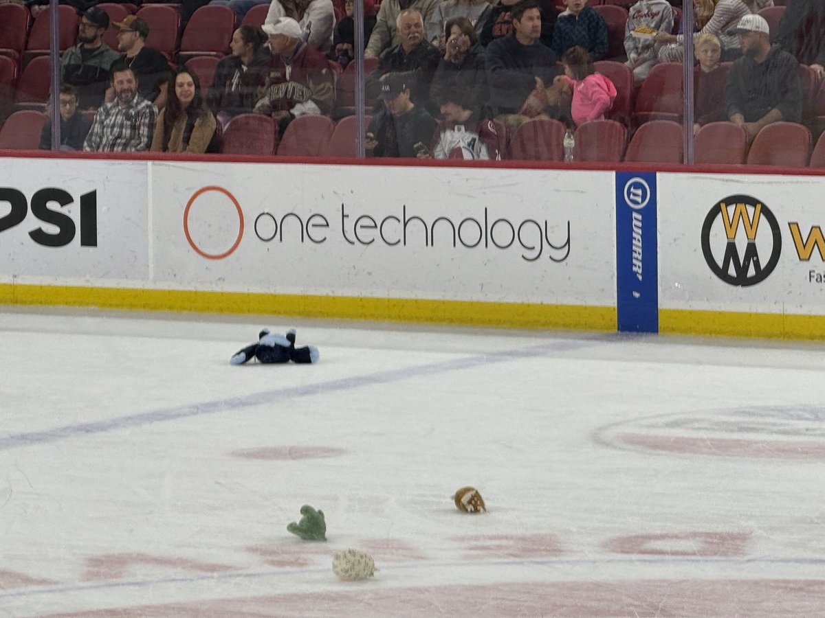 OneTechCorp's tweet photo. @DU_Hockey teddy bears and @PaloAltoNtwks teddy beers at last night Pios game! https://t.co/LdCxzlO7sD