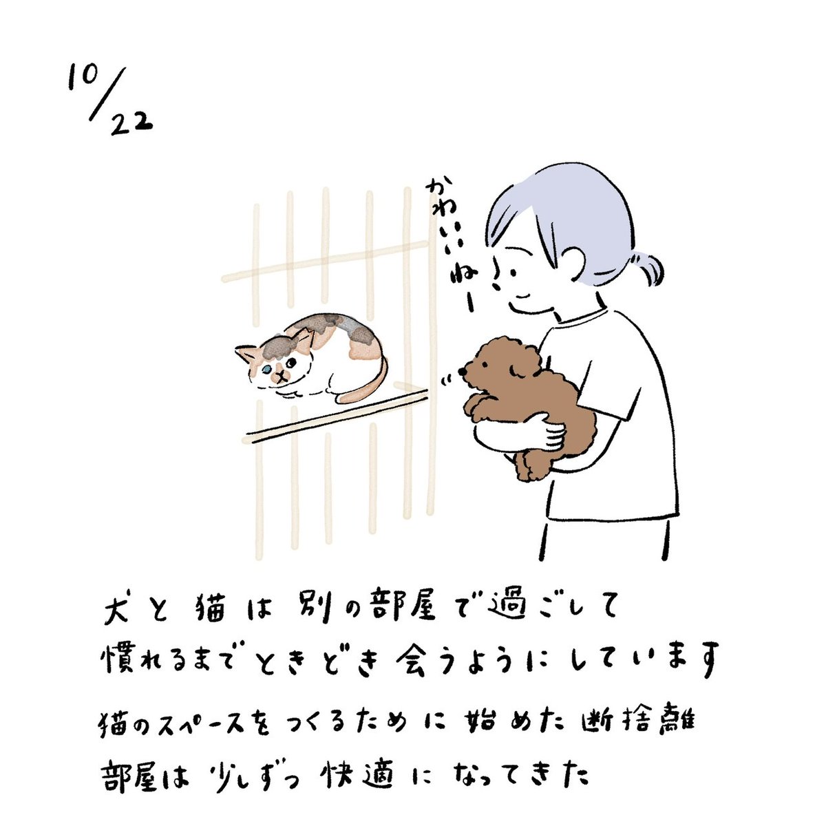 犬と猫は別の部屋で過ごして慣れるまでときどき会うようにしています。猫のスペースをつくるために始めた断捨離部屋は少しずつ快適になってきた #みみーた 