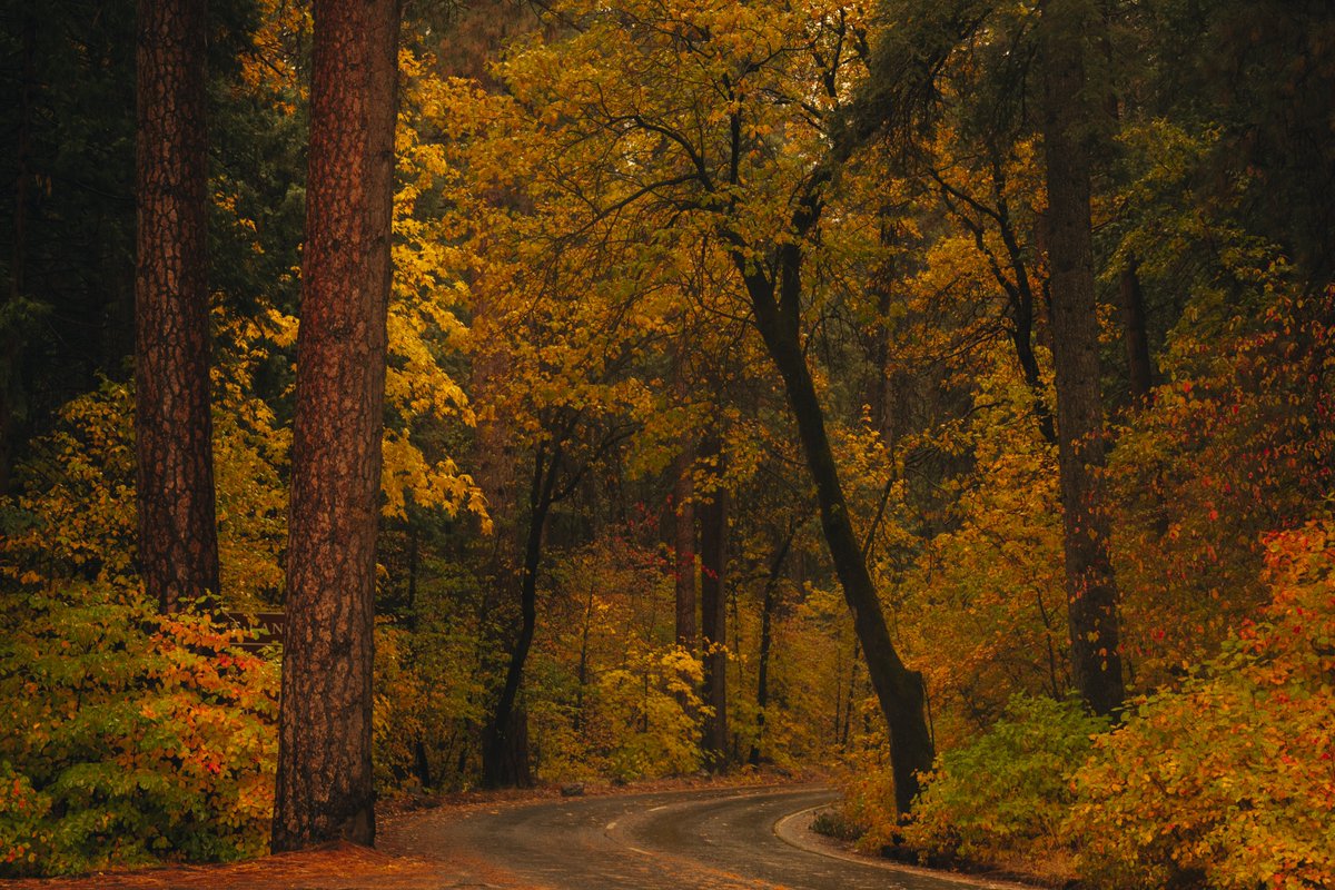 CodyMayer22's tweet image. Yosemite in the rain