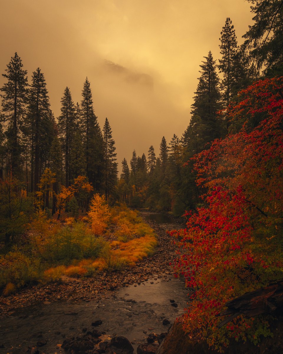 CodyMayer22's tweet image. Yosemite in the rain