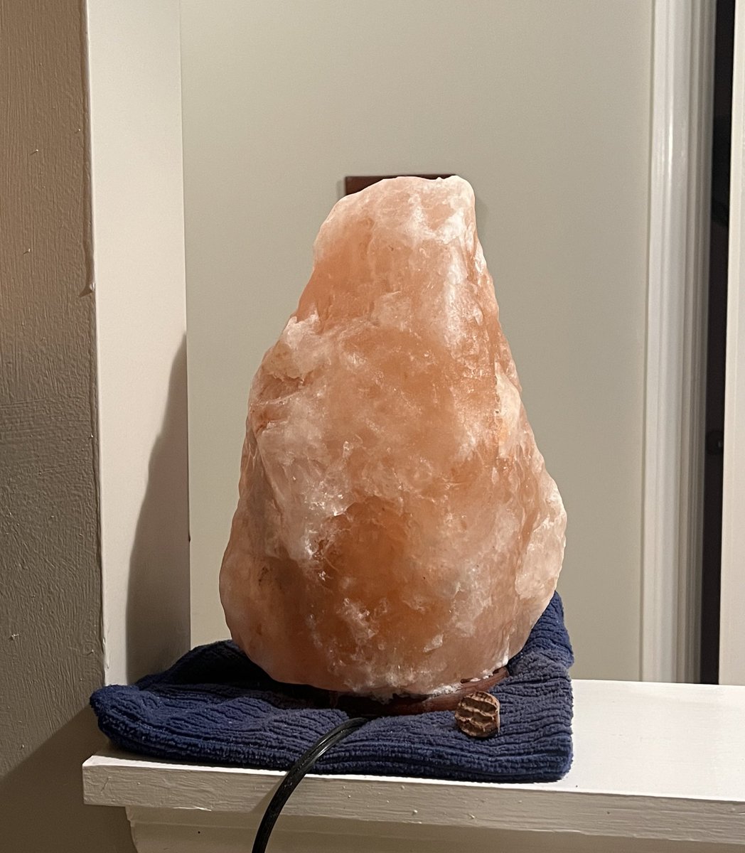 Catherine D. Tan tweet media