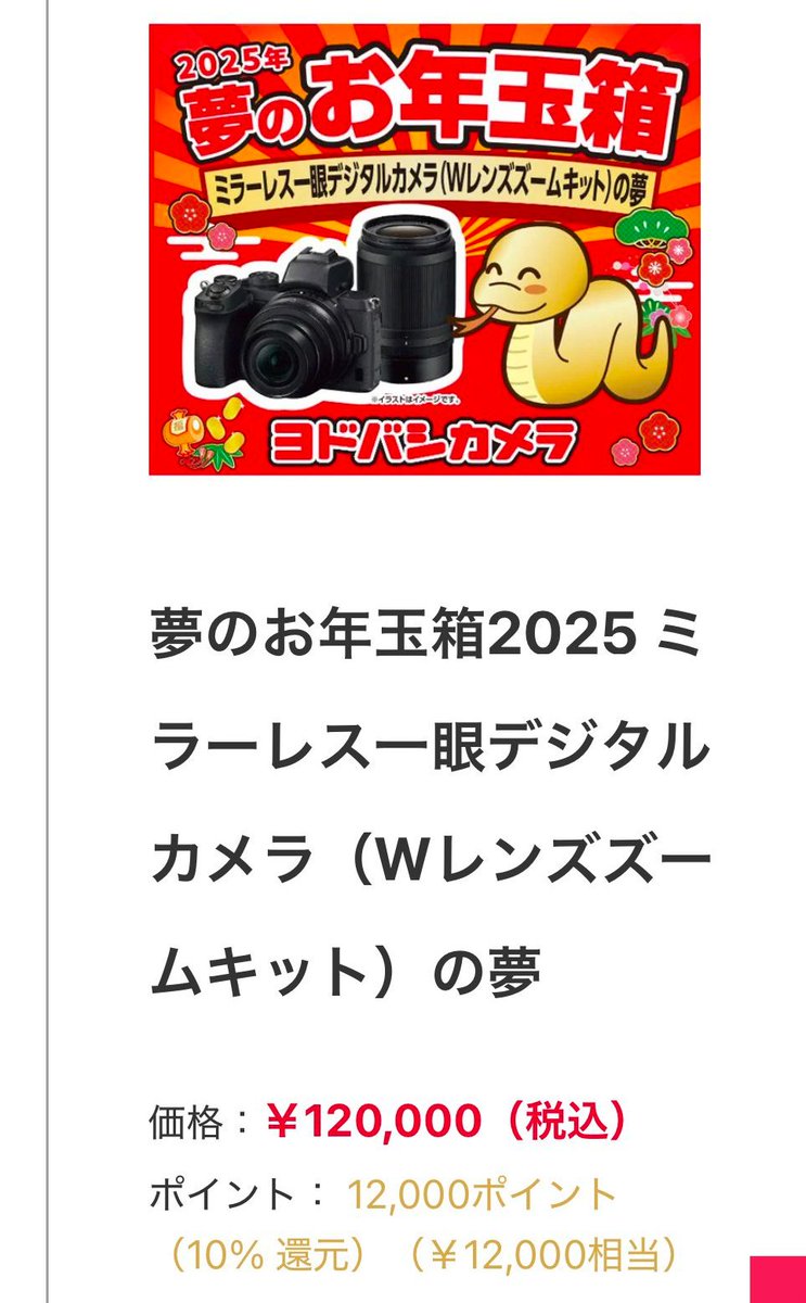イメージの商品は ＃Nikon ＃Z50 だけど ＃Z50II のダブルズームキット
