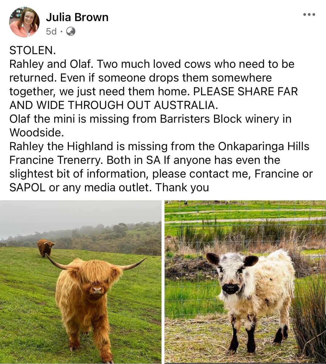 Anyone seen anything??

Possibly heading to YP, EP or even WA.

Rahley is one of the sons from our girl, Orla.

Please share and let’s get these boys home!!