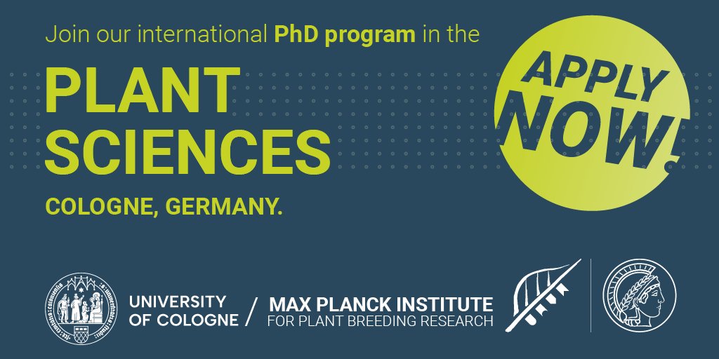 MPIPZ Cologne (@mpipz_cologne) on Twitter photo We’re #hiring, please RT! Our #IMPRS <a href="/mpipz_cologne/">MPIPZ Cologne</a> & <a href="/UniCologne/">Universität zu Köln</a> recruits 7 PhD students. We look for candidates with a keen interest in experimental & computational plant biology to join us in 2025!
Find details at mpipz.mpg.de/imprs/imprs-ap… and apply by Jan 5.
#PlantSciJobs We’re #hiring, please RT! Our #IMPRS <a href="/mpipz_cologne/">MPIPZ Cologne</a> & <a href="/UniCologne/">Universität zu Köln</a> recruits 7 PhD students. We look for candidates with a keen interest in experimental & computational plant biology to join us in 2025!
Find details at mpipz.mpg.de/imprs/imprs-ap… and apply by Jan 5.
#PlantSciJobs
