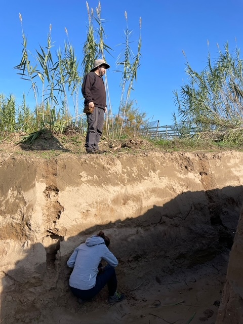 📢The GIAP has concluded the archaeological and geoarchaeological survey campaign in Baix #Empordà. We have obtained evidence about the #ancient and #medieval population and the evolution of the #landscape.
<a href="/ICAC_cat/">ICAC-CERCA, Institut Català d'Arqueologia Clàssica</a> #SomCERCA