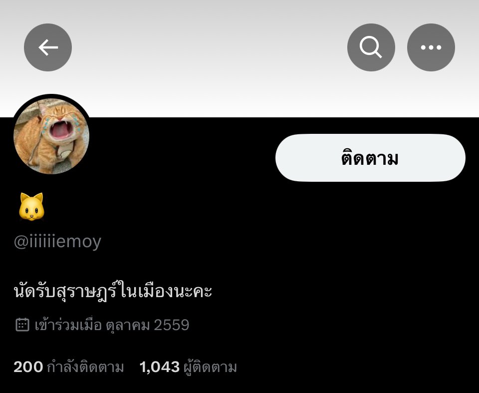 𝑀𝑖𝑦𝑢 𝑀𝑒𝑜𝑤 ♡˚₊‧🐯 tweet media