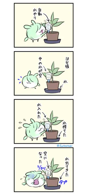 1673日目 しばらく留守にするから植物は自動水やりで 