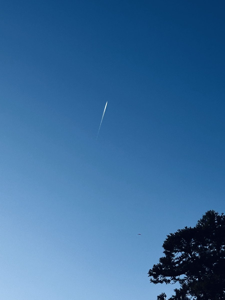 Pla_ryutaro's tweet photo. ヒロに会ってきました。
台湾いっしょ行くわーってやる気がすごい。

（・上空・）/ https://t.co/c0txk02MOG