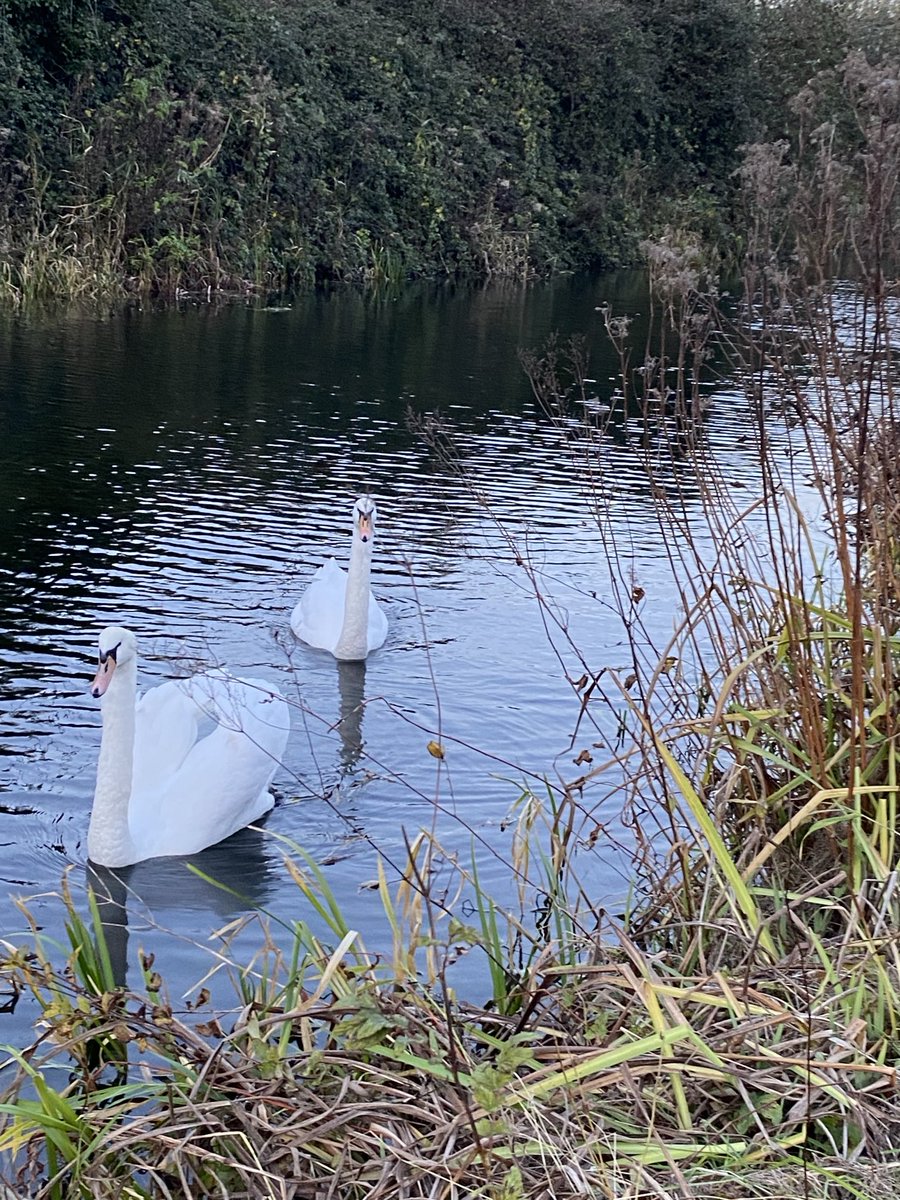 Linda FitzGerald tweet media