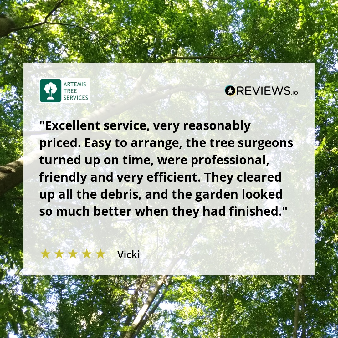 ArtemisTrees's tweet image. It’s always rewarding to know that our hard work and dedication to quality tree care make a difference.  

A big thank you to all our customers who take time to share such kind words. Your support keeps us climbing higher! 

#ThankYou  #TreeCareExperts #treesurgery #arborists