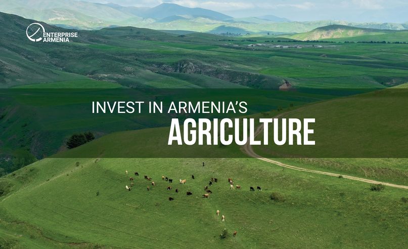 Embassy of Armenia to India (@armindemb) on Twitter photo 🌾Agriculture is vital to #Armenia|’s economy making up 8.4% of GDP & employing over 1/3 of workforce. W/unique climate & rich resources 🇦🇲 is ideal location for this sector, investing in modernization & infrastructure.
More: enterprisearmenia.am/business-oppor…
#InvestInArmenia #Agriculture 🌾Agriculture is vital to #Armenia|’s economy making up 8.4% of GDP & employing over 1/3 of workforce. W/unique climate & rich resources 🇦🇲 is ideal location for this sector, investing in modernization & infrastructure.
More: enterprisearmenia.am/business-oppor…
#InvestInArmenia #Agriculture