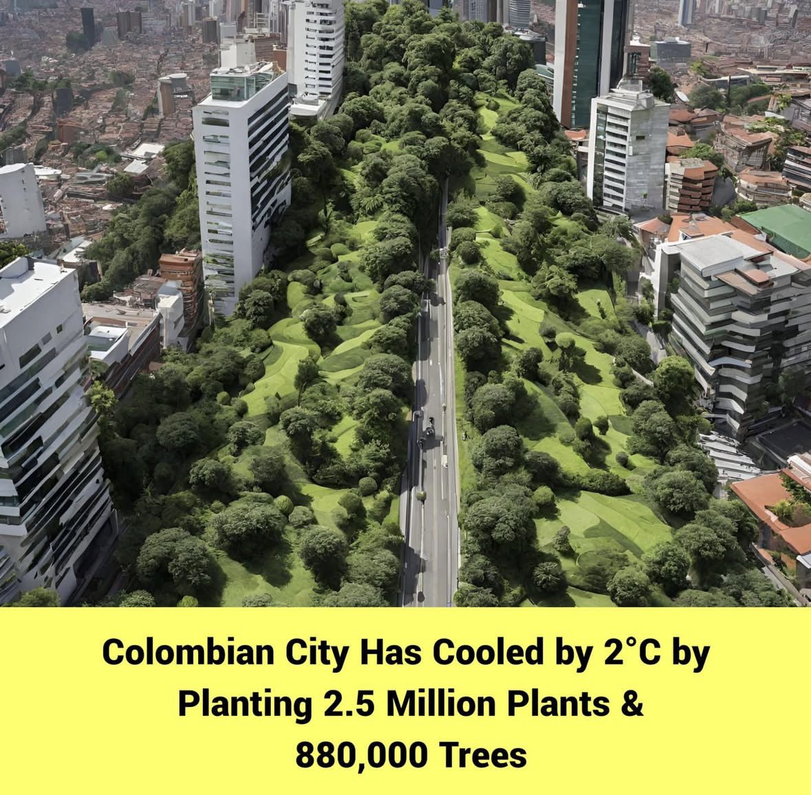 MedellÍn, Colombia 🇨🇴 

This city cooled by 2C by planting 2.5 million plants and 880,000 trees across the city. 

Plant lots of trees in cities. As well as lowering temperatures, trees reduce pollution &amp; flooding, provide habitats for city wildlife and beautify surroundings. 🌳
