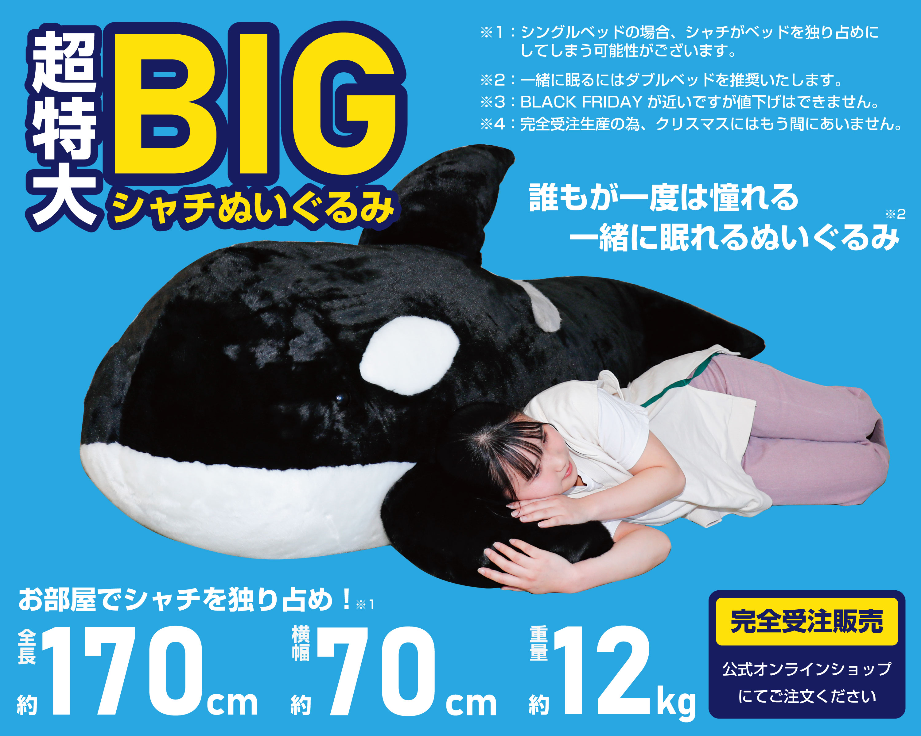 【福袋セール】 寝袋 快適グッズ・旅行小物 - 最終値下げ 鴨川シーワールド 快適グッズ・旅行小物