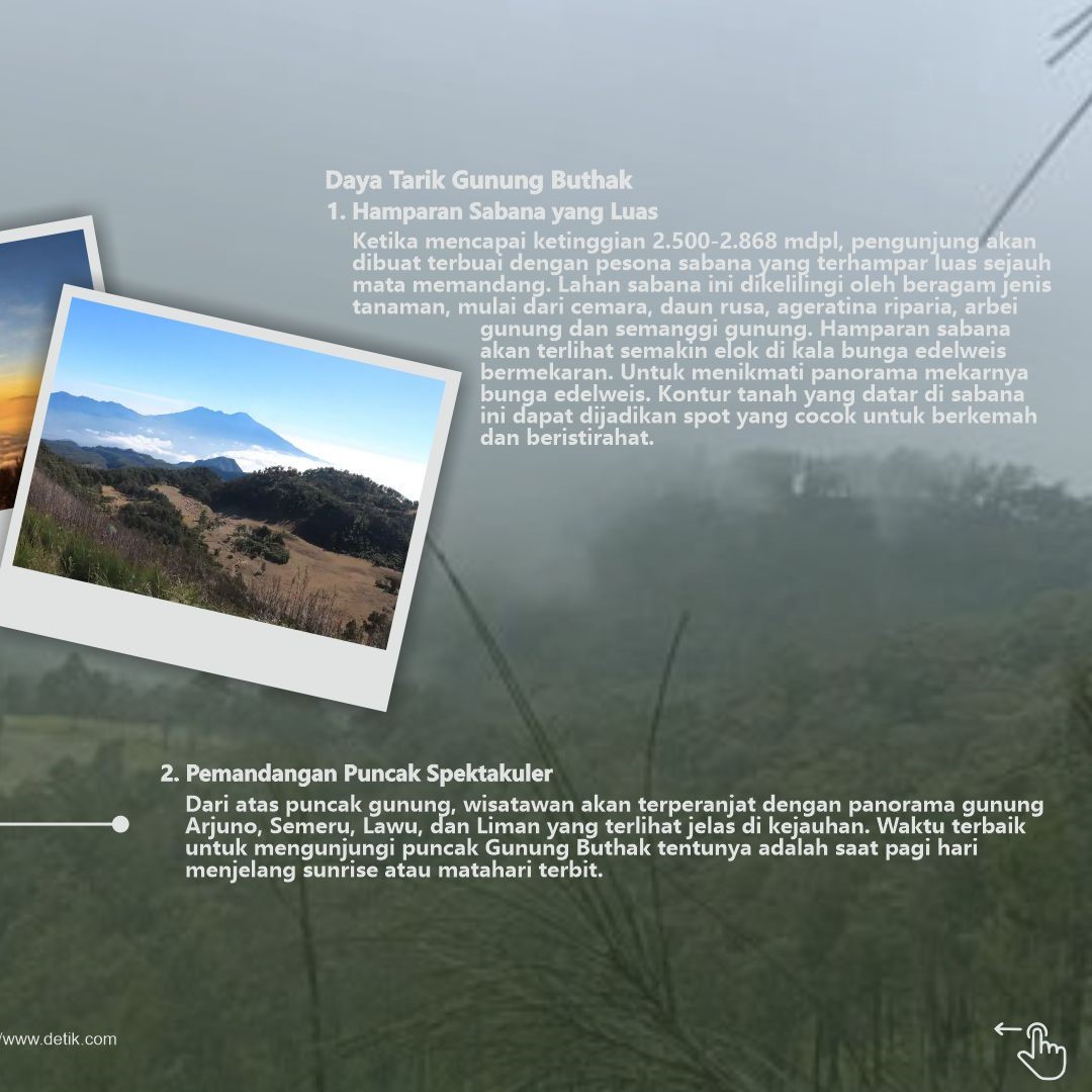 tiketpendakian's tweet photo. Udah pernah daki Gunung Butak? Pemandangan sabana hijau luasnya bikin adem banget!🌿🌱 
 
#GunungButak #Pendakian #ExploreMalang #sunrise #batu #malang #pendakian #alamindonesia #petualangan #exploreindonesia #pendakian #AlamIndonesia #PendakianBermakna #TiketPendakian https://t.co/BtGK2xpNLz