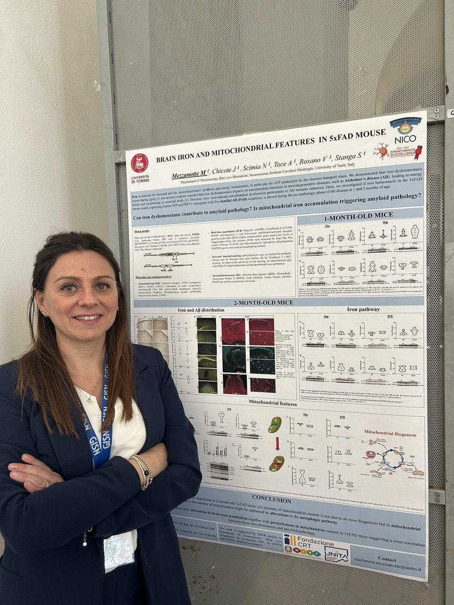 Full immersion di neuromorfologia al #GISN ! Appuntamento prezioso per incontrare i collaboratori e presentare i nostri progetti <a href="/newronico/">NewroNico Brain Development and Disease group</a> finanziati dal <a href="/mur_gov_/">Ministero dell'Università e della Ricerca</a> #Minoryx <a href="/IBROorg/">IBRO - International Brain Research Organization</a> <a href="/UMontium/">Univ. Montium</a> 🧠🔬
Thanks to @CliveSvendsen <a href="/ProchiantzA/">Prochiantz alain</a> &amp; teams for the fundamental collaboration!