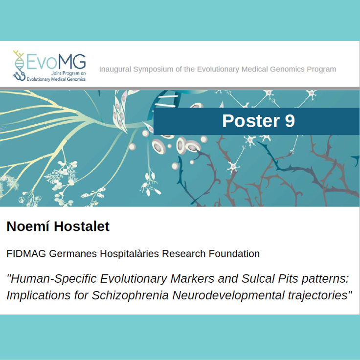 FIDMAG (@fidmag_research) on Twitter photo La investigadora de FIDMAG Noemí Hostalet presenta el póster "Human-Specific Evolutionary Markers and Sulcal Pits patterns: Implications for Schizophrenia Neurodevelopmental trajectories" en el Simposium Inaugural del EvoMG organizado por el <a href="/CRGenomica/">Centre for Genomic Regulation (CRG)</a> y <a href="/UPFBarcelona/">UPF Barcelona</a> La investigadora de FIDMAG Noemí Hostalet presenta el póster "Human-Specific Evolutionary Markers and Sulcal Pits patterns: Implications for Schizophrenia Neurodevelopmental trajectories" en el Simposium Inaugural del EvoMG organizado por el <a href="/CRGenomica/">Centre for Genomic Regulation (CRG)</a> y <a href="/UPFBarcelona/">UPF Barcelona</a>
