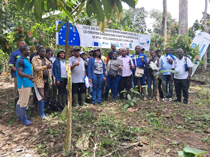 CANALLS_Project's tweet photo. 🌾CANALLS 3rd co-creation workshop in Ntui Living Lab! 🌾Farmers and stakeholders from the cocoa sector gathered to assess ongoing trials.
Discover the key results of the 3rd co-creation workshop on our website 🔗 https://t.co/hJTVy3Ct7V
#CANALLSProject #Agroecology https://t.co/ikjygWSUiW