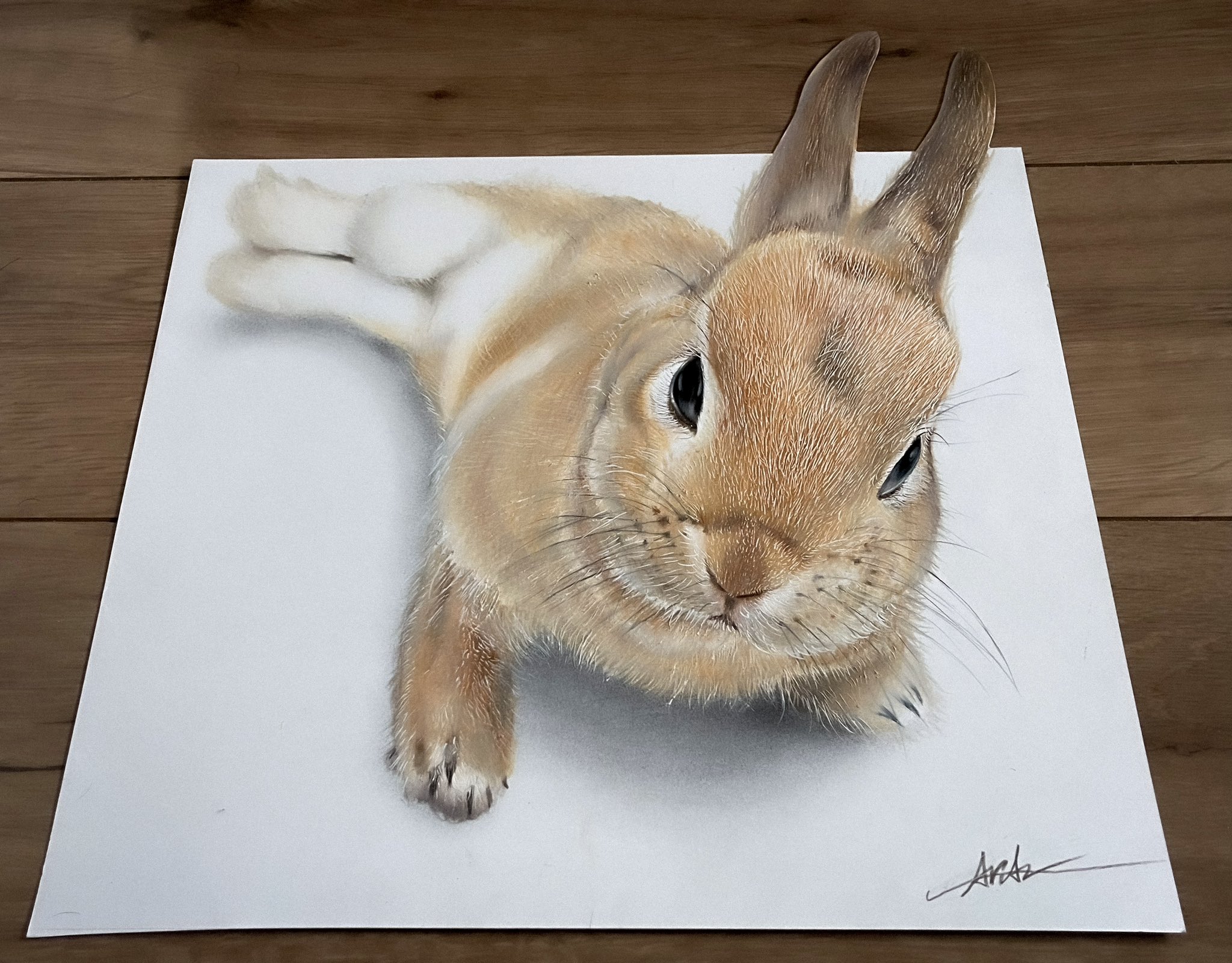 Amazon.co.jp: 絵画 油絵 森 武 肉筆油絵 乗鞍岳 遠望 : ホーム