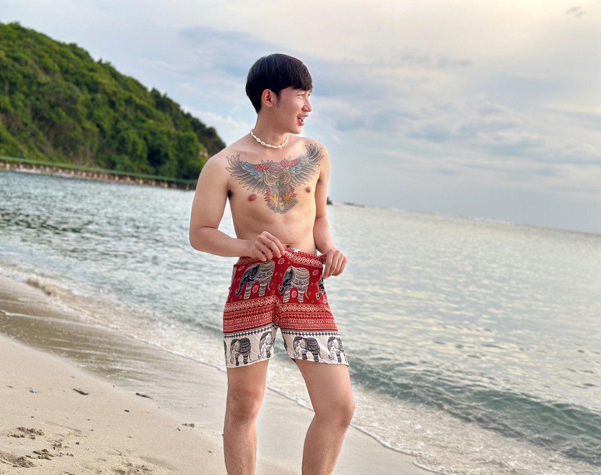 ธีม tweet media