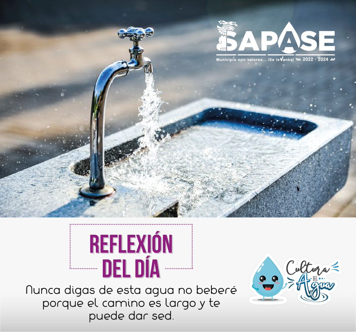 Sapase_Ecatepec tweet media