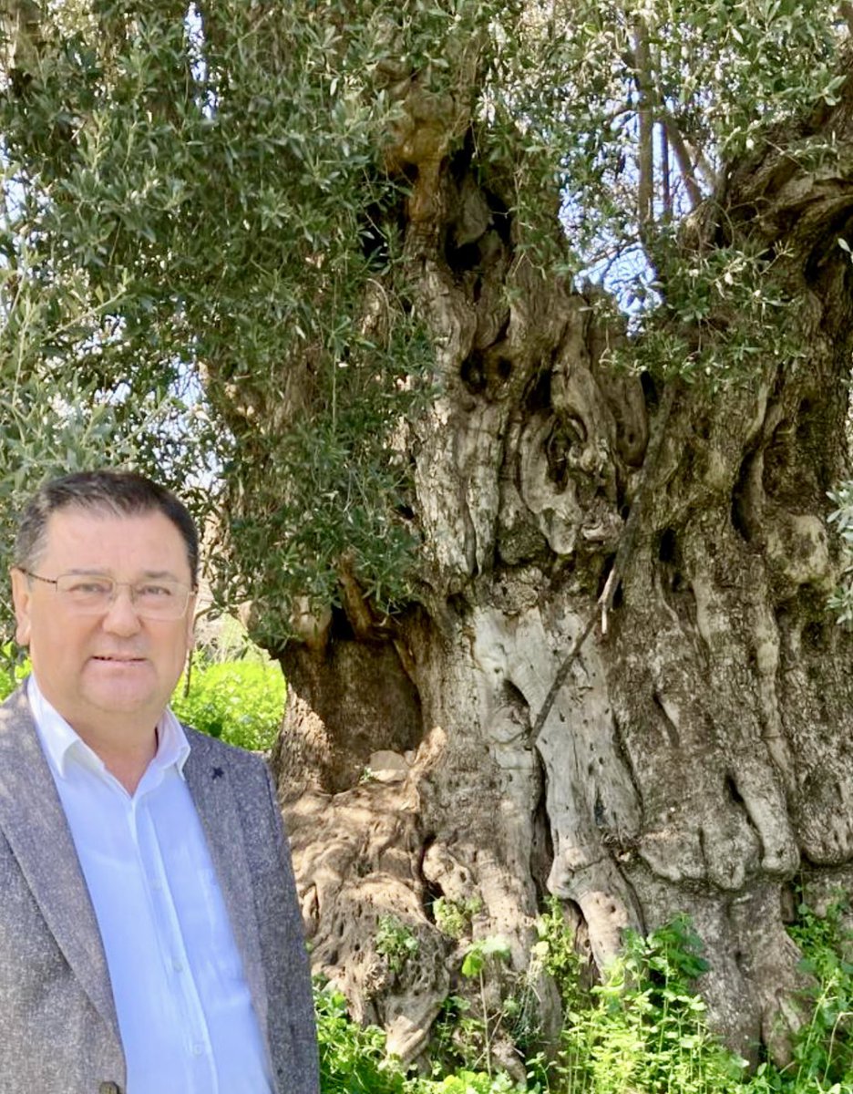 Av. Muhammet Tokat tweet media