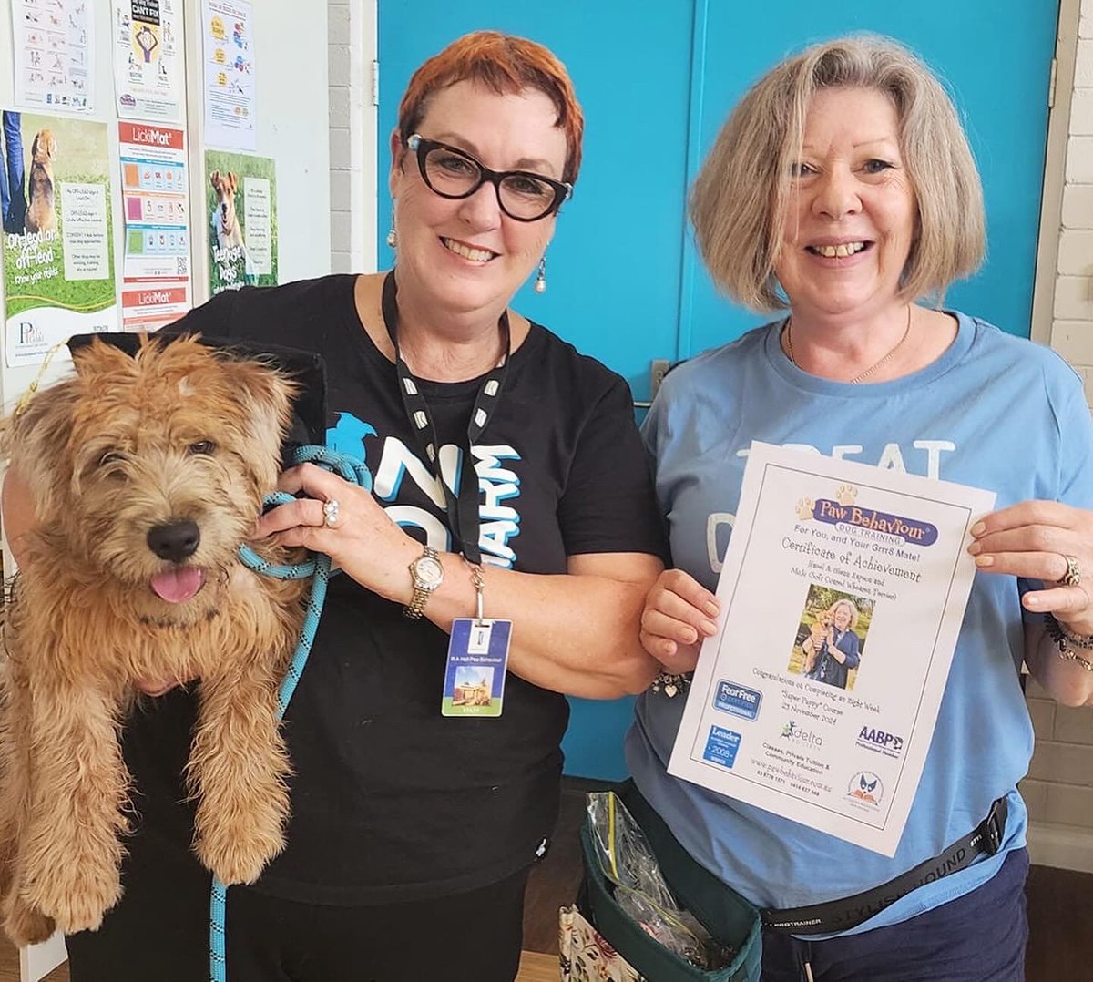 PawBehaviour's tweet photo. Read this comment and sign the petition. If you want well trained dogs and owners in the community, you need to provide a space for them to receive that training https://t.co/bScSbHHoNN via @ChangeAUS https://t.co/ai624Eiptc