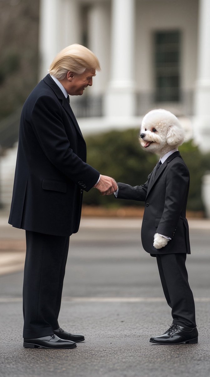 Bandly_pet's tweet photo. Inspiring to be the most famous dog in the world.#trump #bandly #dog https://t.co/5n7HJqQdK8