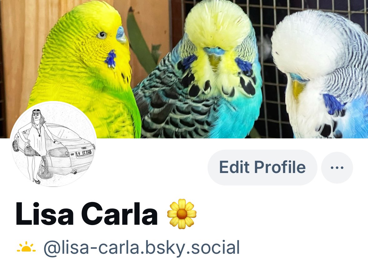 LisaGee68's tweet photo. Am saying my farewell too : Damn you EM 😡
I will be on the other side of the ether up in the Blue Sky…🦋

https://t.co/tbIpbPoQvI

#leaveX #Bluesky #BlueSkyApp #BlueSkySocial #GoodbyeX https://t.co/41MHg2S7UK