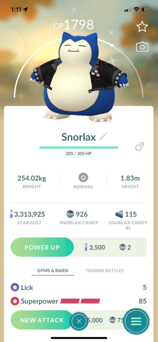 MockivePoGo's tweet image. Had a good weekend even with the rain!
lots of shiny and mighty hundos ✨💯
#PokemonGo #PokemonGoWildArea
#Pokemon