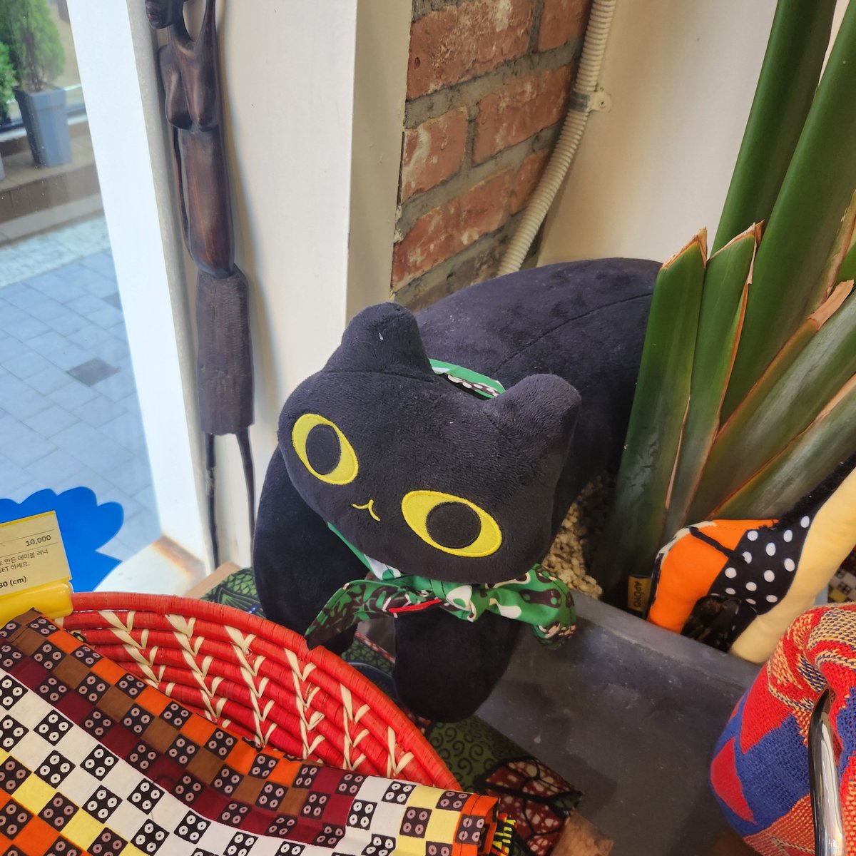 Pattern_Haemin's tweet image. 🐱