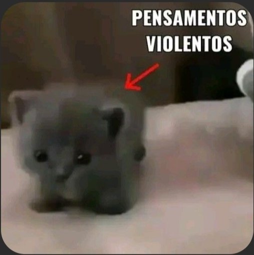 Xd Xd tweet media